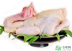 冷凍肉可以放多久？速凍肉可以放多久？