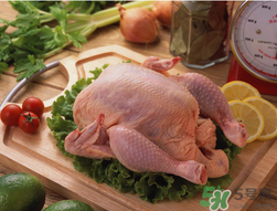 雞肉放冰箱可以放多久？雞肉放在保鮮能放多久？