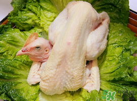 雞肉放冷藏還是冷凍？雞肉放冷凍的保質(zhì)期