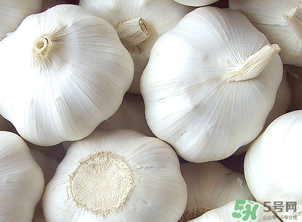 2017年大蒜多少錢一斤？2017年大蒜價(jià)格預(yù)測(cè)