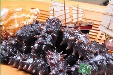 新鮮海參和干海參哪種更好？海參的品種有哪些？