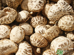 干香菇怎么保存？干香菇怎么保存不壞？