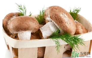 鮮香菇怎么保存？鮮香菇怎么保存時間長？