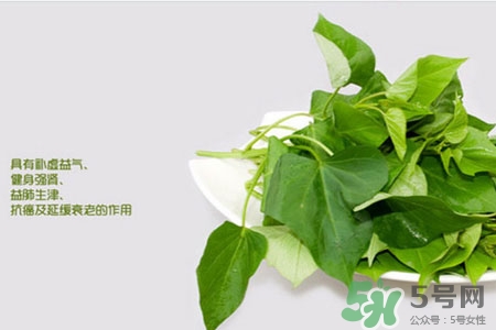 紅薯葉的營養(yǎng)價(jià)值 紅薯葉的功效與作用