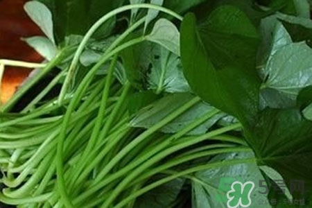 紅薯葉的營養(yǎng)價(jià)值 紅薯葉的功效與作用