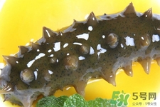 怎樣鑒別新鮮海參的好壞？干海參如何鑒別真假