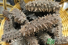 怎樣鑒別新鮮海參的好壞？干海參如何鑒別真假