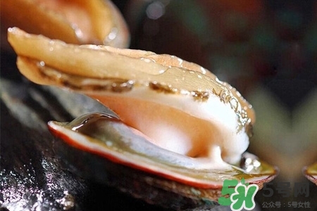 鮑魚(yú)一次最多吃幾個(gè)？鮑魚(yú)吃多了有什么不好的？