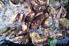 女人吃鮑魚有什么好處嗎？女人經(jīng)期能吃鮑魚嗎？