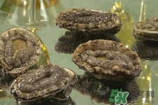 吃鮑魚要注意些什么？吃鮑魚會過敏嗎？