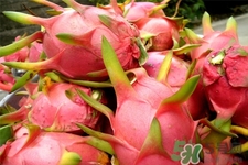 火龍果能天天吃嗎？火龍果每天都吃好嗎？