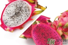 火龍果是什么季節(jié)的水果？火龍果什么時(shí)候成熟？