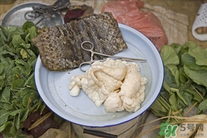 吃蛇肉有什么好處?蛇肉的營養(yǎng)價(jià)值及功效 吃蛇肉有什么好處?蛇肉的營養(yǎng)價(jià)值及功效