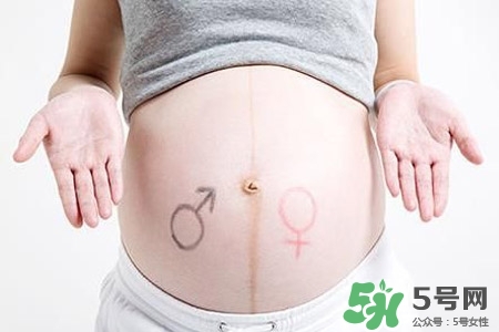 孕婦能吃瓜子嗎？孕婦吃瓜子對身體好嗎？