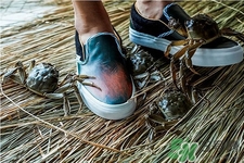 vans與acu合作款鞋子多少錢？vans與acu合作款鞋子價(jià)格