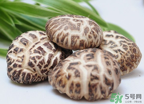 吃香菇有什么好處？吃香菇有什么壞處？