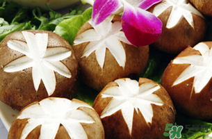 吃香菇有什么好處？吃香菇有什么壞處？