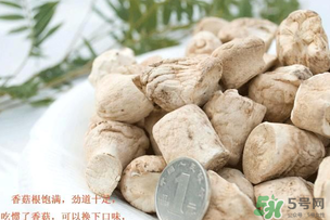 香菇根能吃嗎？香菇的根可以吃嗎？