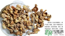 姬松茸的營養(yǎng)價(jià)值 姬松茸的功效與作用