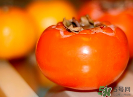 鴨肉和柿子能一起吃嗎？吃完鴨肉可以吃柿子嗎？