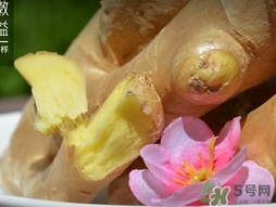 姜湯用老姜還是嫩姜？煮姜湯可以用干生姜嗎？