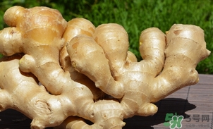 姜湯用老姜還是嫩姜？煮姜湯可以用干生姜嗎？