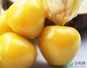 燈籠果不能和什么一起吃？燈籠果什么人不能吃？