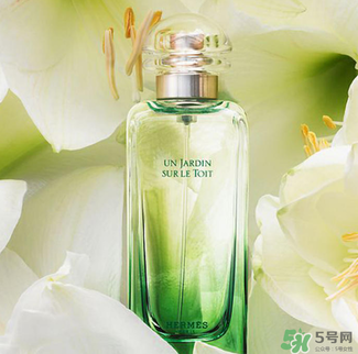 愛馬仕香水怎么看真假？愛馬仕香水真假鑒別圖