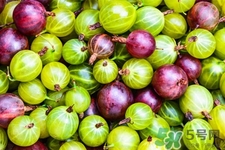 燈籠果一天吃幾個最好？燈籠果什么時候吃最好？