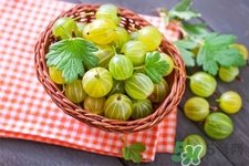 燈籠果一天吃幾個最好？燈籠果什么時候吃最好？