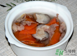 雞肉能和胡蘿卜一起吃嗎？雞肉和蘿卜可以一起吃嗎？