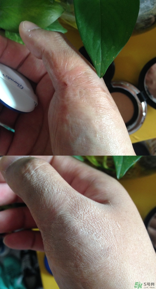 笛愛(ài)兒氣墊bb霜怎么樣?笛愛(ài)兒氣墊bb霜好用嗎?