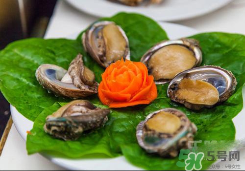 鮑魚是熱性還是涼性？鮑魚是寒性食物嗎？