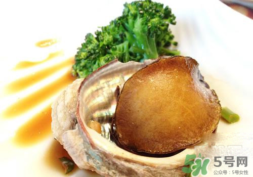 鮑魚是熱性還是涼性？鮑魚是寒性食物嗎？