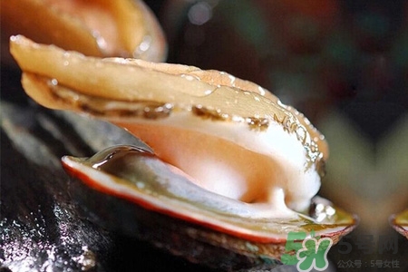 寶寶能吃鮑魚嗎？寶寶多大可以吃鮑魚？