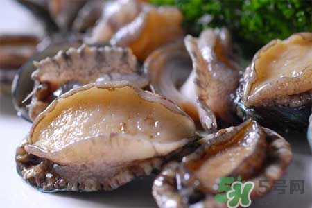 寶寶能吃鮑魚嗎？寶寶多大可以吃鮑魚？