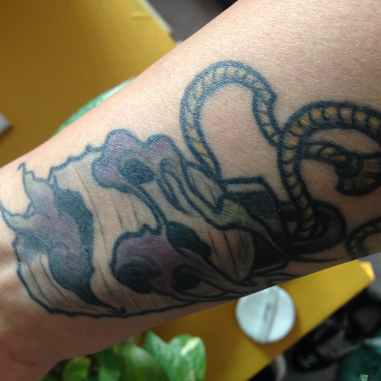 笛愛(ài)兒氣墊bb霜怎么樣?笛愛(ài)兒氣墊bb霜好用嗎?