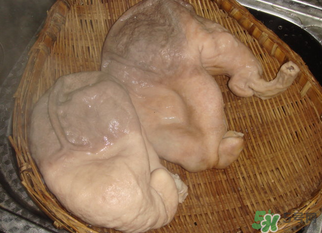 豬大腸怎么清洗？豬大腸怎么去臭味？