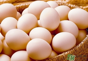 笨雞蛋和普通雞蛋營(yíng)養(yǎng)價(jià)值一樣嗎？笨雞蛋和普通雞蛋的區(qū)別