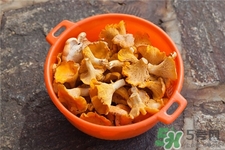 雞油菌的營養(yǎng)價值 雞油菌的功效與作用 雞油菌的營養(yǎng)價值 雞油菌的功效與作用