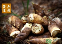 冬筍怎么做好吃？冬筍的功效作用