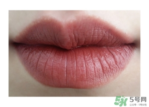 楓葉紅什么牌子好？楓葉紅口紅推薦