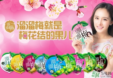 溜溜梅是梅花結(jié)的果嗎？溜溜梅的功效作用