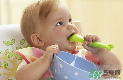 6個月的寶寶可以吃肉泥嗎？寶寶幾個月可以吃肉泥？