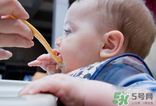 6個月的寶寶可以吃肉泥嗎？寶寶幾個月可以吃肉泥？