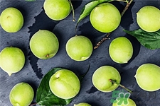 青梅的營養(yǎng)價值 青梅的功效與作用 青梅的營養(yǎng)價值 青梅的功效與作用