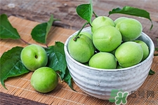 青梅的營養(yǎng)價值 青梅的功效與作用 青梅的營養(yǎng)價值 青梅的功效與作用