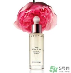 香緹卡是哪國的？香緹卡是哪里的牌子？