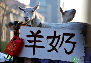 鮮羊奶怎么保存？鮮羊奶放冰箱能放多久？