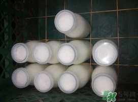 鮮羊奶可以直接喝嗎？鮮羊奶怎么喝最好？